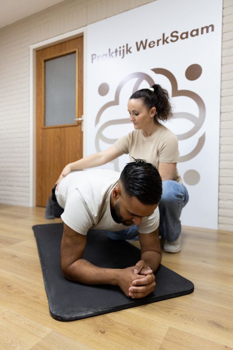 Fysiotherapie Lemerveld bij Praktijk Werksaam