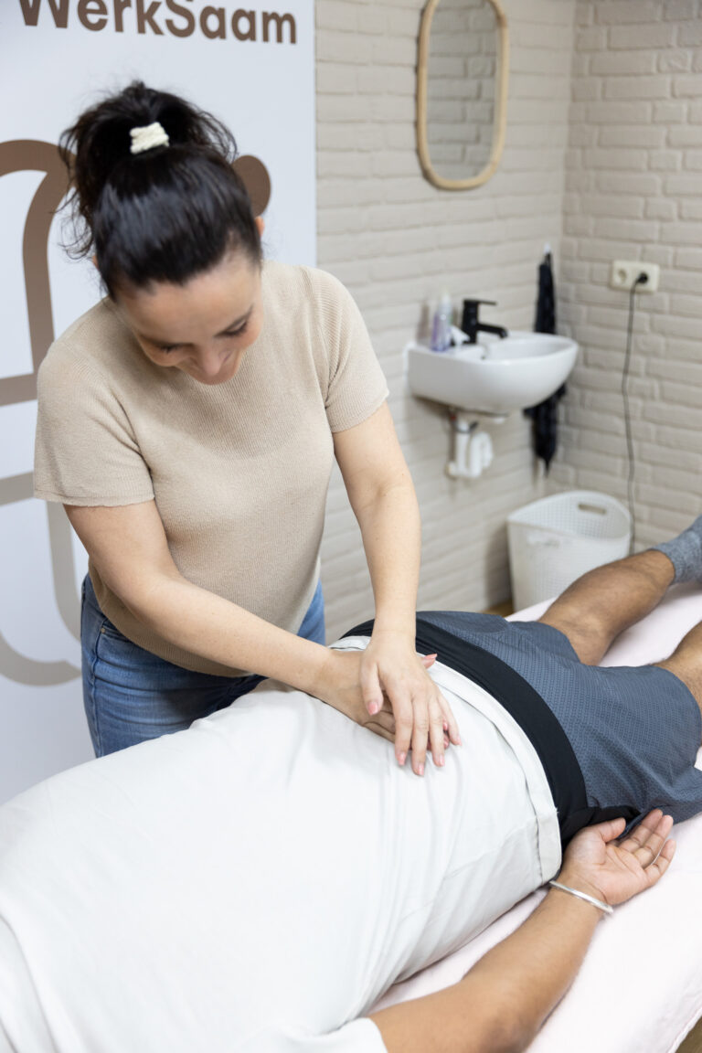 Fysiotherapie Lemerveld bij Praktijk Werksaam